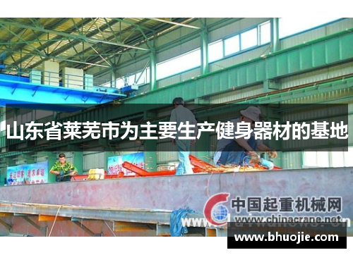 山东省莱芜市为主要生产健身器材的基地