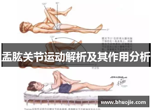 盂肱关节运动解析及其作用分析